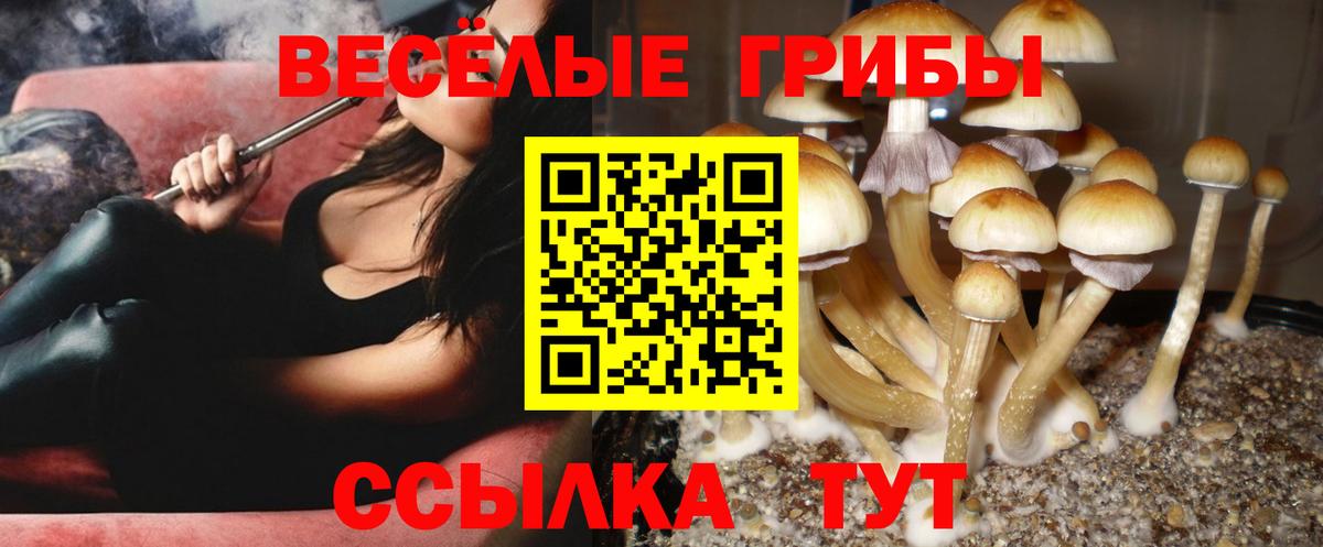 Галлюциногенные грибы Cubensis  Псилоцибиновые грибы GOLDEN TEACHER  Вход с VPN  Астрахань 